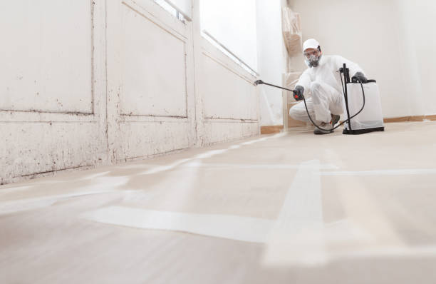 24/7 Emergency Mold Remediation experts in Richboro, PA